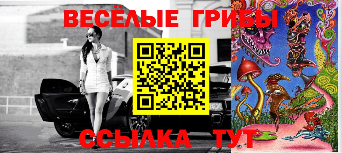 Галлюциногенные грибы мицелий Йошкар-Ола