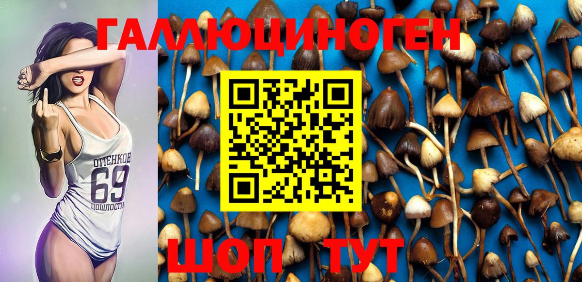Йошкар-Ола  Псилоцибиновые грибы Psilocybe  Вход с VPN 