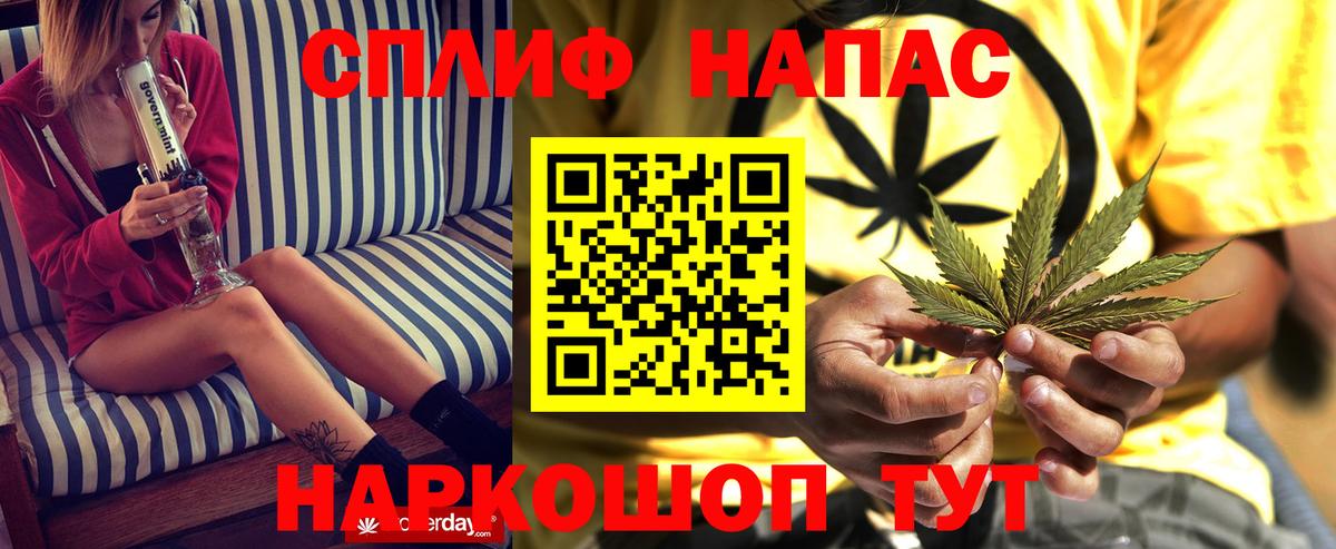 Шишки марихуана марихуана  Шишки марихуана тримм  Вход с VPN  Йошкар-Ола  Бошки марихуана планчик  Бошки Шишки White Widow 